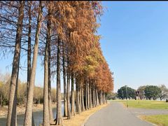 -上海月湖雕塑公园