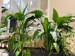 -隅乐胡椒虾·台湾菜·团建(皇岗店)