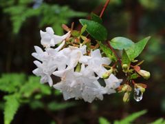 -天芳悦潭度假村温泉