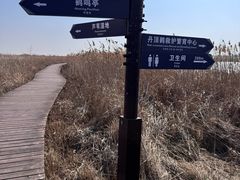 -盐城丹顶鹤湿地生态旅游区