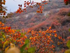 -周口店坡峰岭风景区