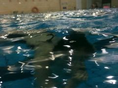 -齐汇维景大酒店游泳馆(山东政协大厦齐汇维景)