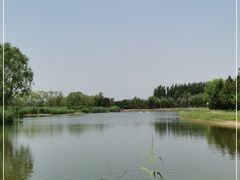 -大兴滨河森林公园