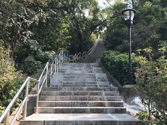 -野狸岛