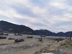-北岐滩涂