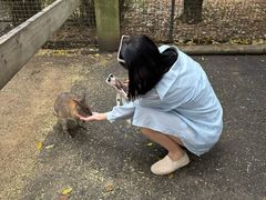 -费瑟代尔野生动物园