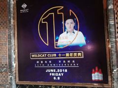 -野猫娱乐空间·酒吧·KTV(南屏店)