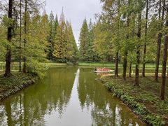 -黄海国家森林公园