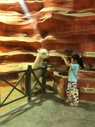 -酷嗒动物文化乐园(cutezoo西溪乐天城店)