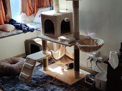 -爱诺耐芙动物医院(万博店)