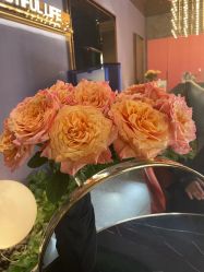 -花隐·美芙炫海菲秀皮肤管理中心