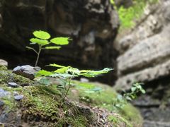 -龙门涧景区