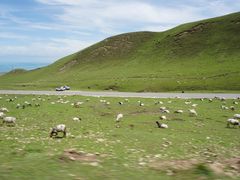 -青海湖国家重点风景名胜区