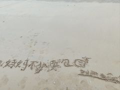 -金海滩海水浴场
