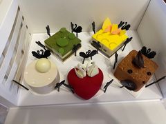 -BLACKSWAN黑天鹅(环球店)