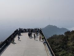 -紫金山山顶公园