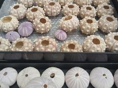 -万达广场(武汉菱角湖店)