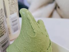 -野人牧坊Gelato(天津南开大悦城店)