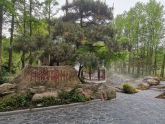 -东平国家森林公园