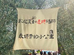 -西双版纳傣族园