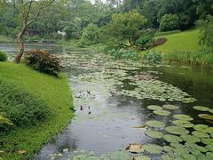 -云溪植物园