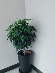 点击看大图 -悦润荟美容抗衰中心