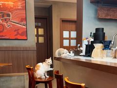 -Again Coffee Roaster(香蜜湖店)