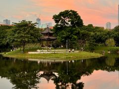 -四海公园(南山区)