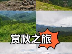 -灵山