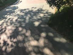 -厝内小眷村(天河南一路店)