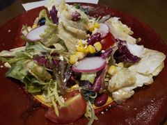 田园时蔬沙拉-布拉格餐厅· 中欧捷克菜(全国首店)