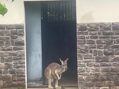 -上方山森林动物世界