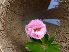 -昆明柏联SPA温泉