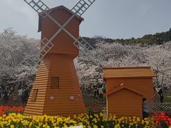 -苏州上方山国家森林公园