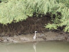 -深圳湾公园(南山区)