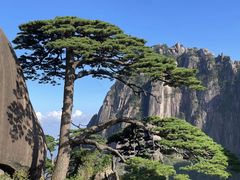 -黄山风景区