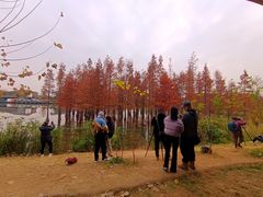 -白鹭湾湿地公园