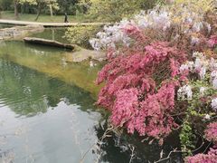 -柯岩风景区