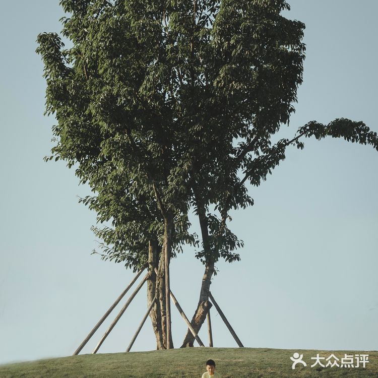成都的夏日祭、藏在麓湖的渔获节