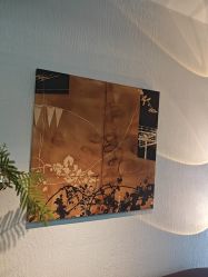 -小梨·OndaPro·专业脱毛连锁机构