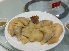 -万年酒楼(越秀南路店)