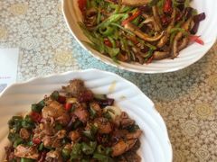 -文三里屯面馆(三里屯店)