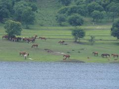 -塞罕坝国家级自然保护区