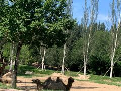 -北京野生动物园