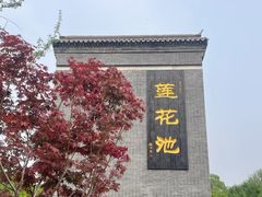 -莲花池公园