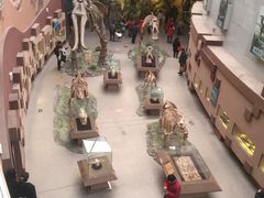 -陕西自然博物馆