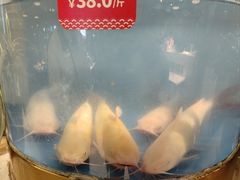 -蜀滋香鲜鱼美蛙火锅(339店)