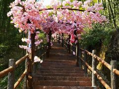 -山沟沟景区