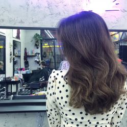 -SALON V