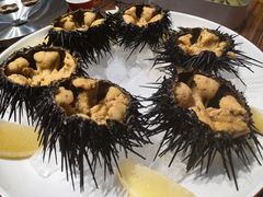黄金海胆-蚝堡海鲜·威海菜·海肠捞饭·烧烤·亚洲吃蚝公司(幸福门店)